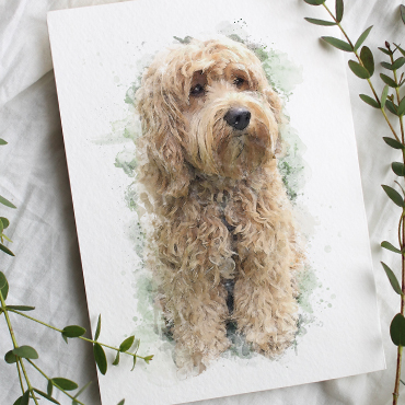 dog portrait